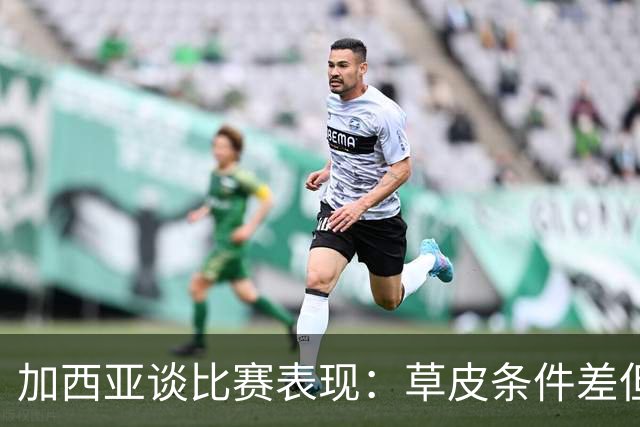 加西亚谈比赛表现：草皮条件差但球队发挥尚可